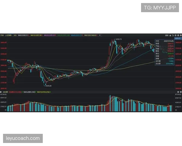 沃特金斯与托尼全面性对比：跑动策应与终结效率差异解析